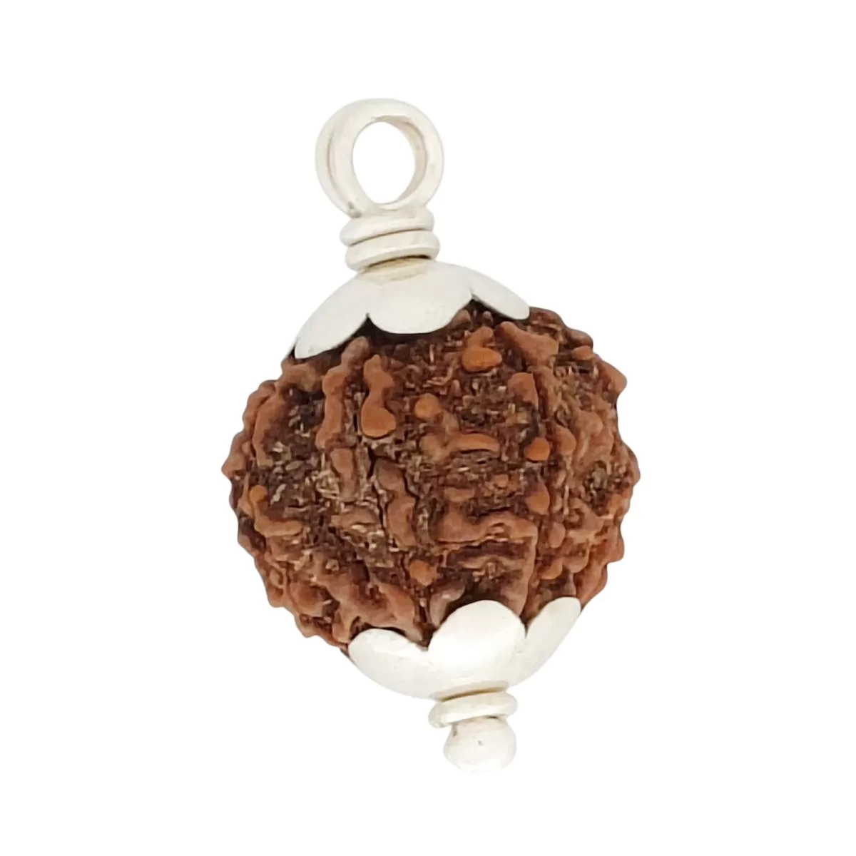 925 Silver 5 Mukhi Nepali Rudraksha Pendant - Image 2