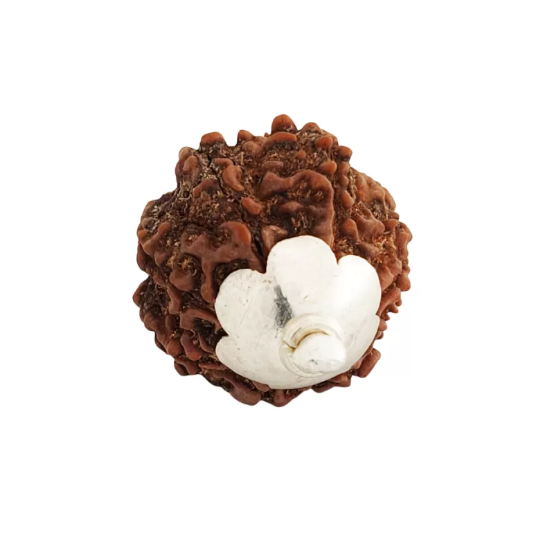 925 Silver 5 Mukhi Nepali Rudraksha Pendant - Image 5