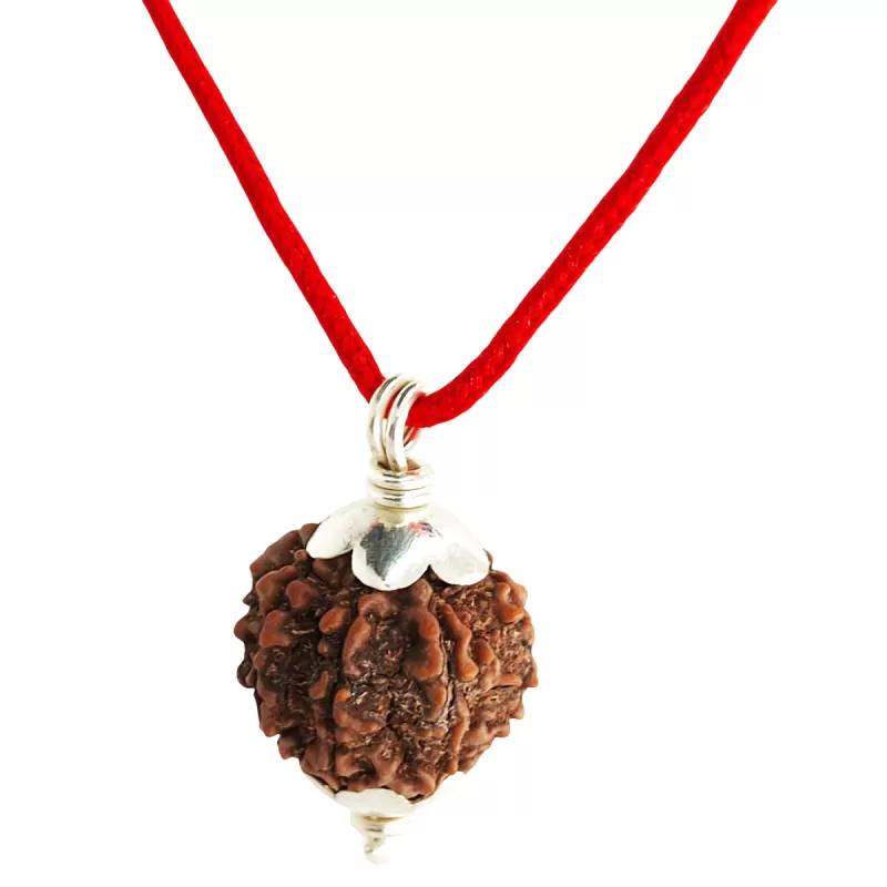 925 Silver 5 Mukhi Nepali Rudraksha Pendant - Image 4