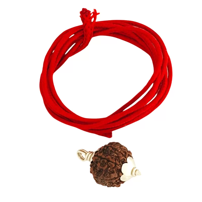 925 Silver 5 Mukhi Nepali Rudraksha Pendant - Image 3