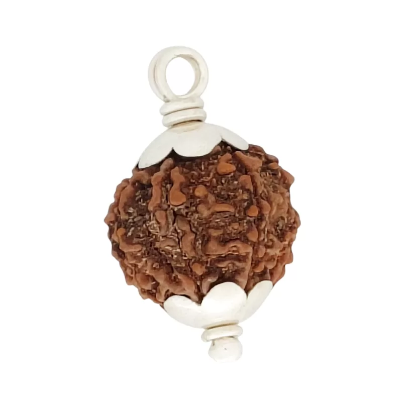 925 Silver 5 Mukhi Nepali Rudraksha Pendant - Image 2